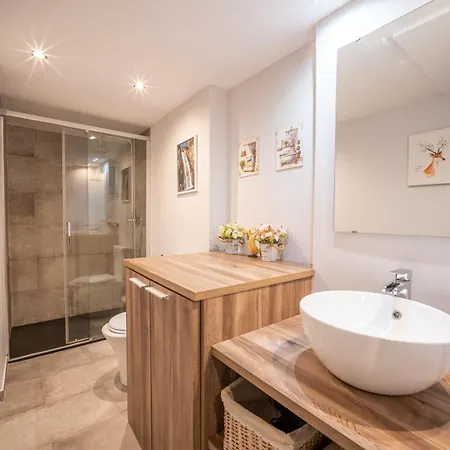 Con Encanto Baqueira 1500 Apartment *