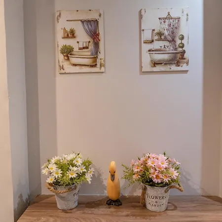 Apartment Con Encanto Baqueira 1500 Naut Aran